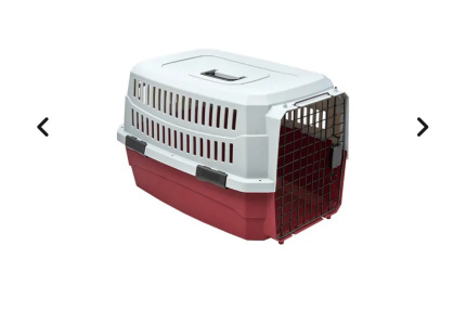 Pet carrier gumtree best sale