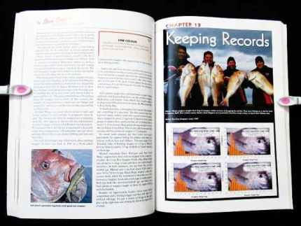 Fishing - Snapper Secrets 3 - Steve Cooper (AFN)
