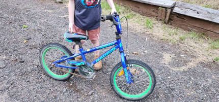 Boys 2024 40cm bike