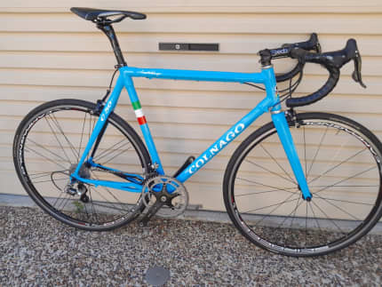 Colnago gumtree online