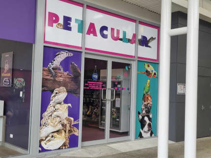 Petacular the Newest Pet Store in Brisbane Pet Products