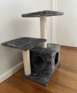 Gumtree cat scratcher hotsell