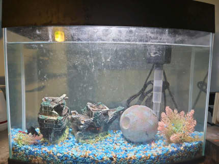 What Happened to the Box/Corner Filter for Fish Tanks? - PetHelpful