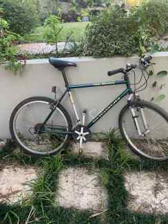 roadmaster cambridge mountain bike