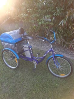glint tricycle