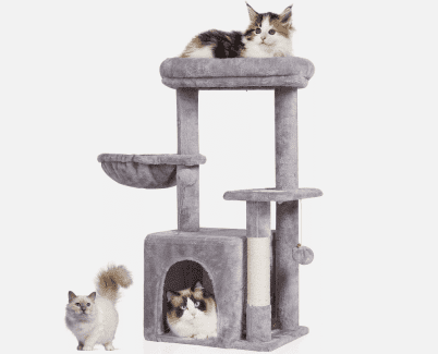 Gumtree cat scratcher best sale