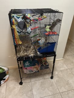 Gumtree hotsell rat cage