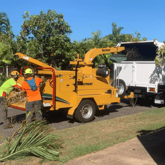 HIRING: Arborists / Ground Crew(DARWIN)(ArborWork Tree Services) Darwin City Preview