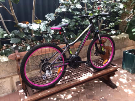 GIANT LIV ENCHANT Girls Bike Kid s Bicycles Gumtree