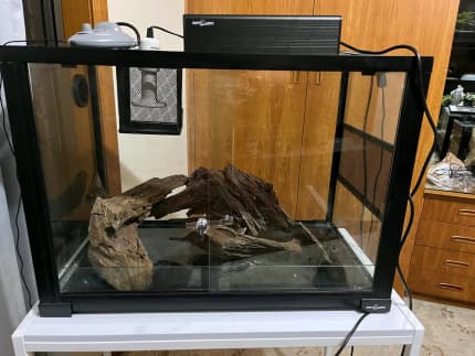 70 cm reptile tank complete setup ready to house your pet