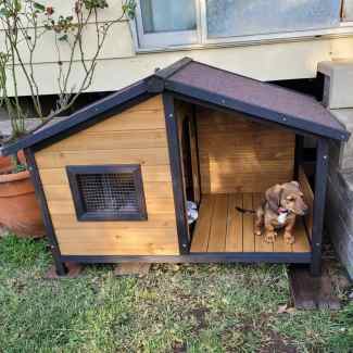 Jack Russell Terrier Dog House Outdoor Kennel with Balcony PetJoint Pet Products Gumtree Australia Hume Area Campbellfield 1327483178