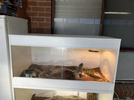 4ft Melamine Reptile Enclosure Pet Products Gumtree Australia Whittlesea Area Mill Park 1327555546