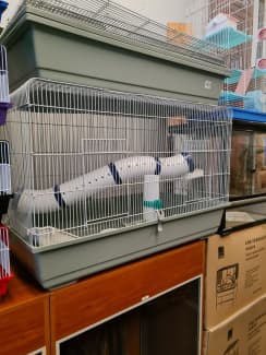 Cheap rat store cages australia