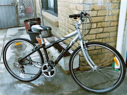 165cm discount bike size