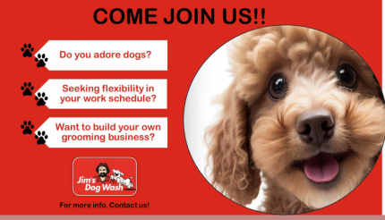 Jims dog Wash groomer/ washer jobs Liverpool Liverpool Area Preview