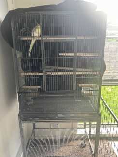 Cockatiel cage gumtree best sale