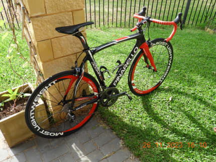 Pinarello gumtree sales