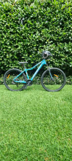 Avanti montari cheap womens mountain bike