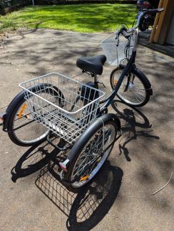 Reef electric tricycle sale