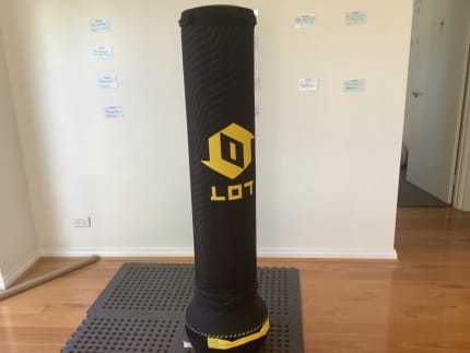 rebound punching bag