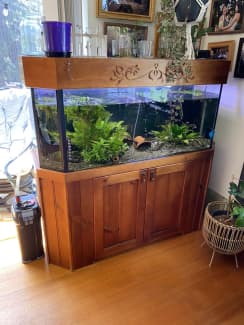 Fish tank cheap afterpay