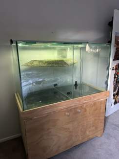 Turtle tank aquarium Pet Products Gumtree Australia Mount