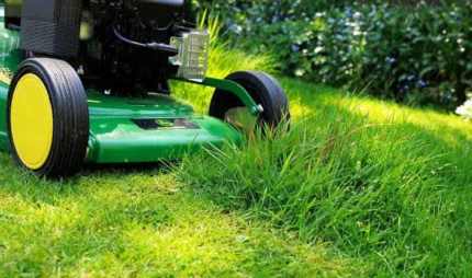 Lawn mowing and gardening Lawn Mowers in Cranbourne North VIC Gumtree Australia