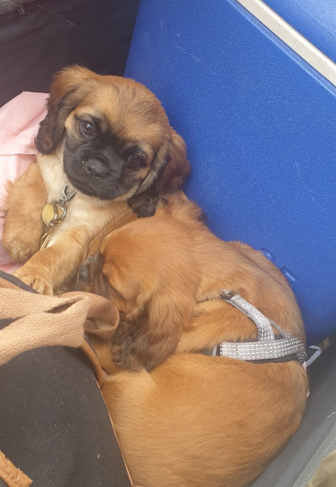 0c87f401-d38d-4a5a-b757-