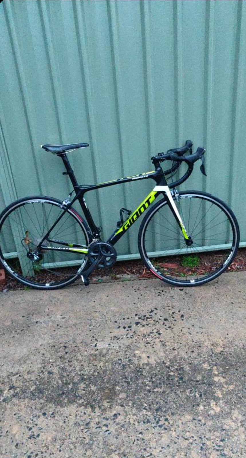 Carbon Road Bike Giant TCR Ultegra M size Men's Bicycles in