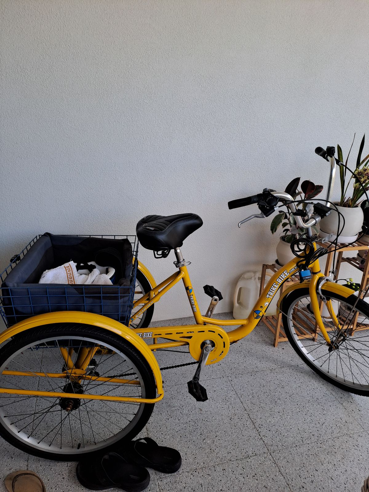 Bicycles Cycles Gumtree Tricycle Trike Bike With A Basket On The