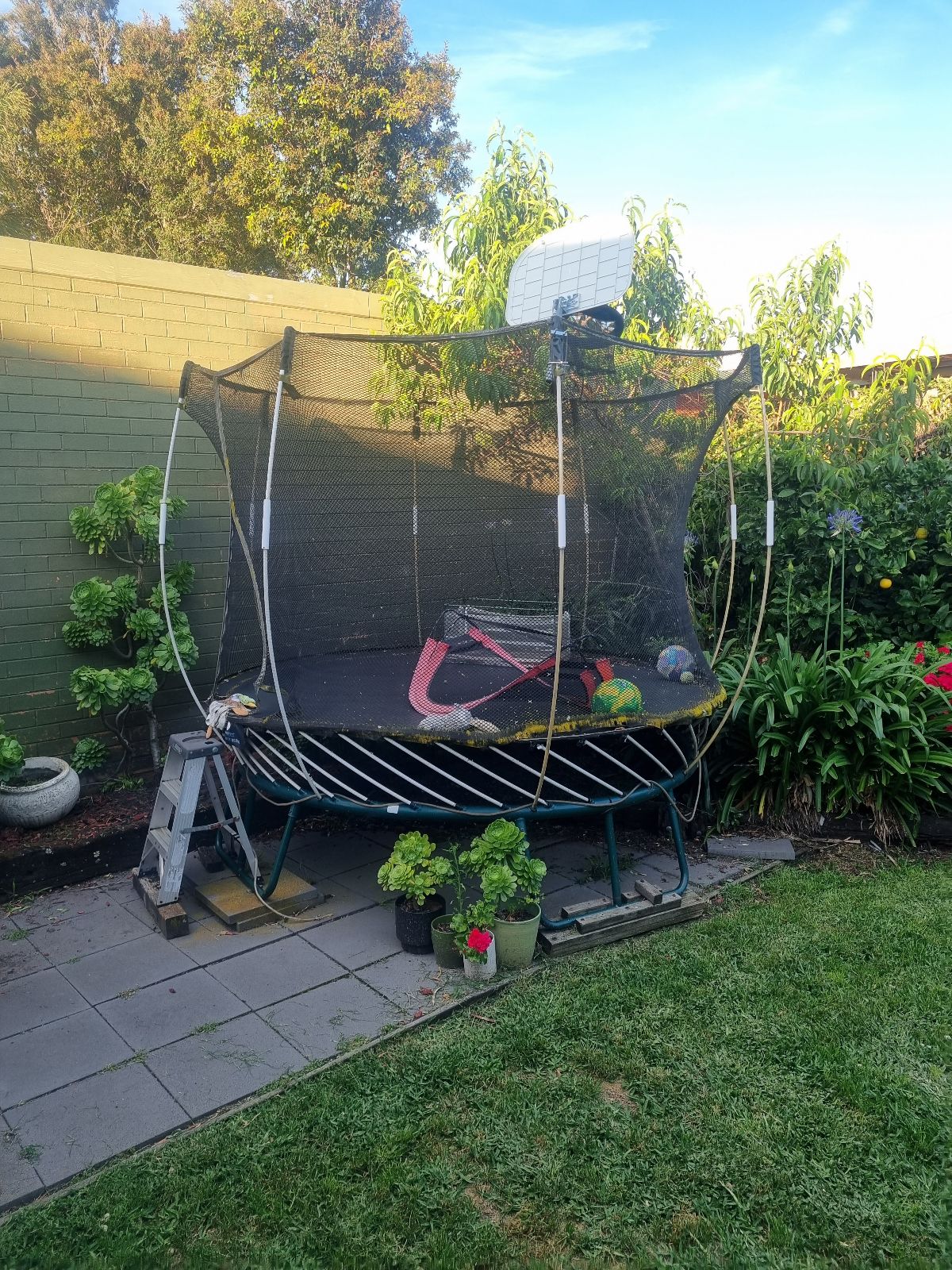 Free Trampoline