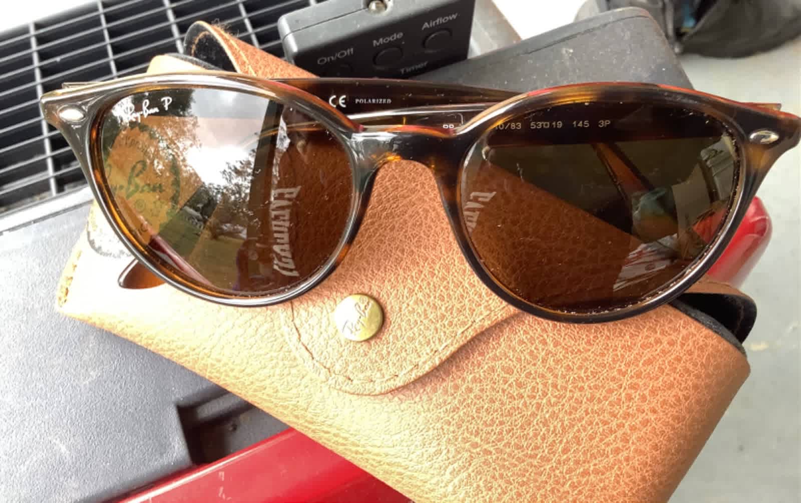 RAY BAN RB4305 Tortoise Frame LENSES Brown