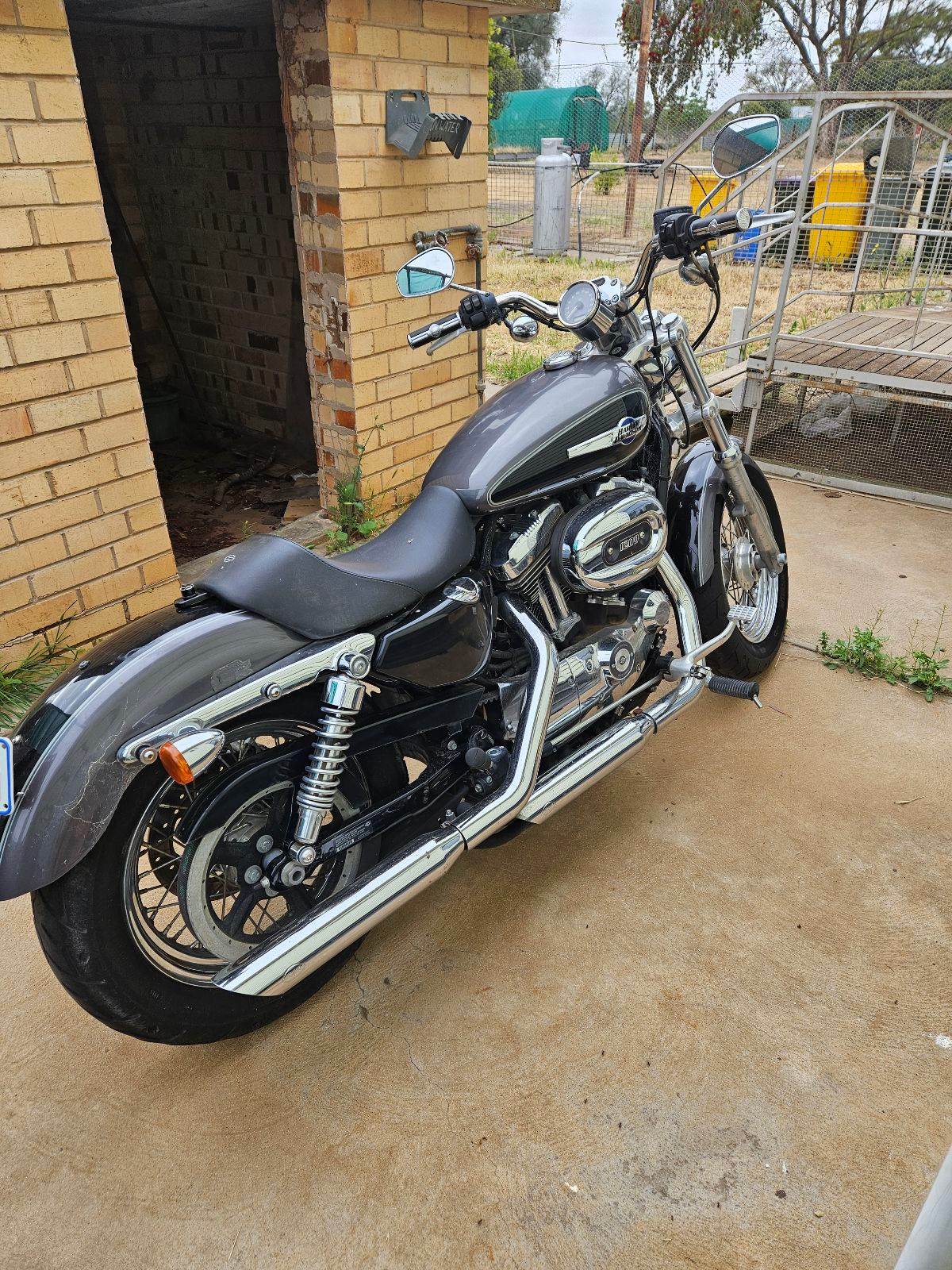 Harley Davidson 2013 Sporty Motorcycles Gumtree Australia