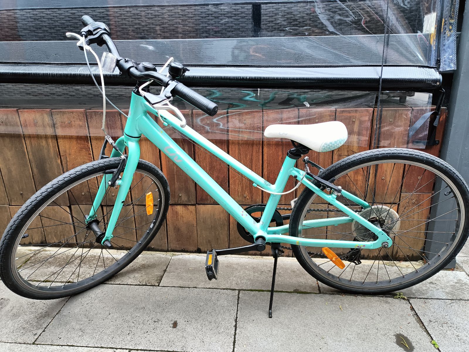 Liv (Giant) Alight 24 inch girls bike, super lightweight Kid'