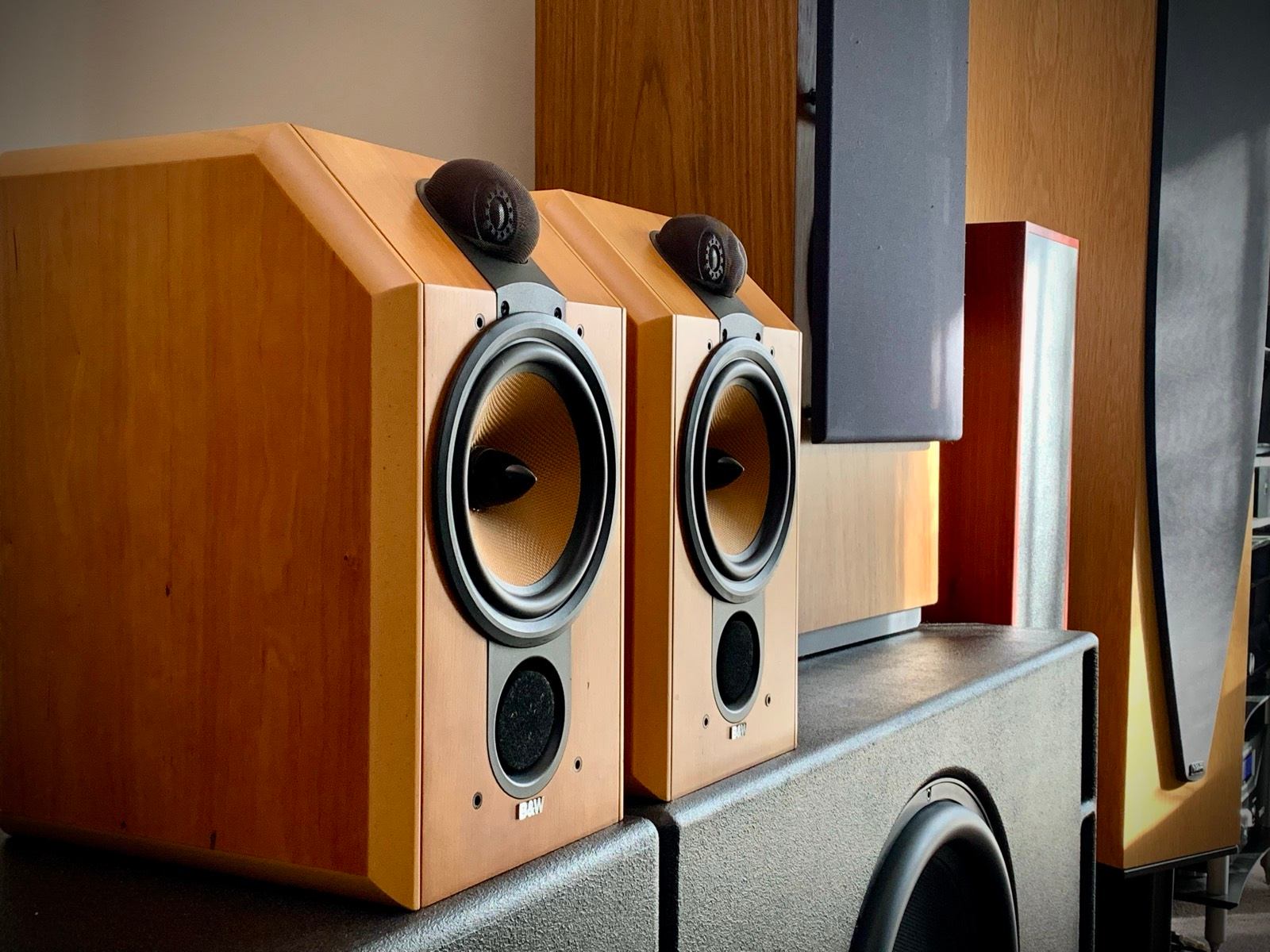 Wilkins Cdm1 Special Edition Cdm1 B&w Speakers B&W CDM1