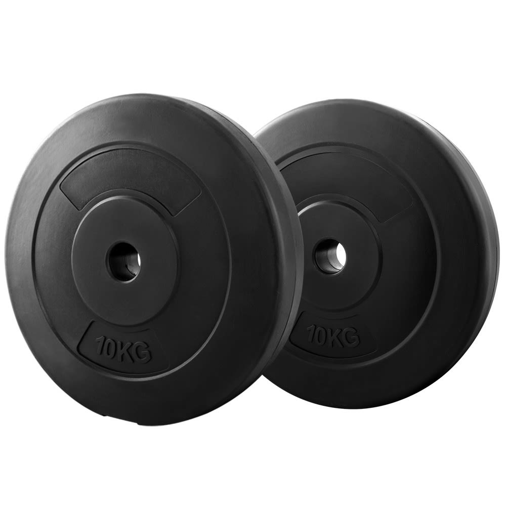 Weight Plates 10kg Dumbbells Gumtree Everlast 10KG Cast Iron