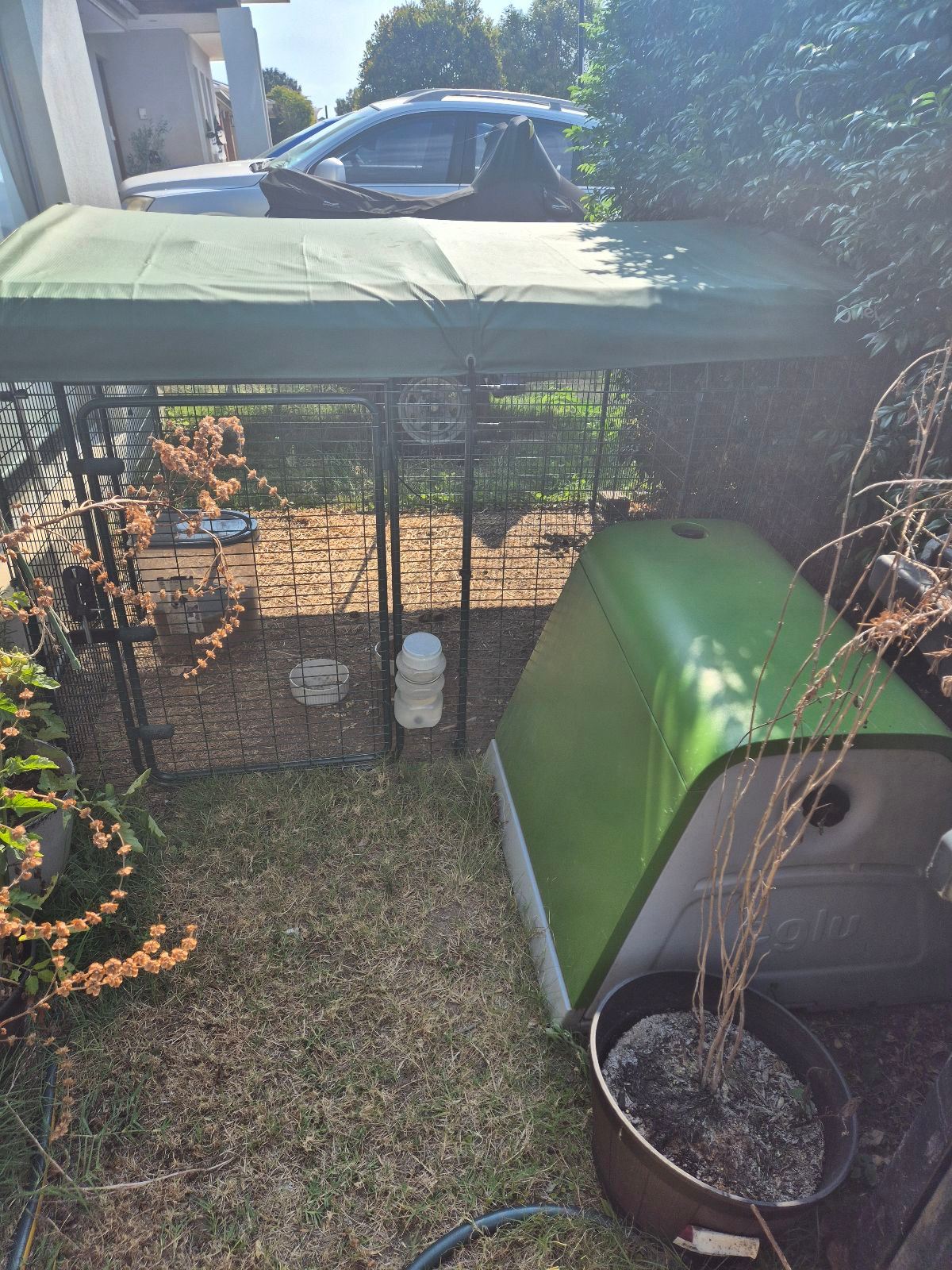 Guinea Pig Omlet Hutch and Run Pet Products Gumtree Australia