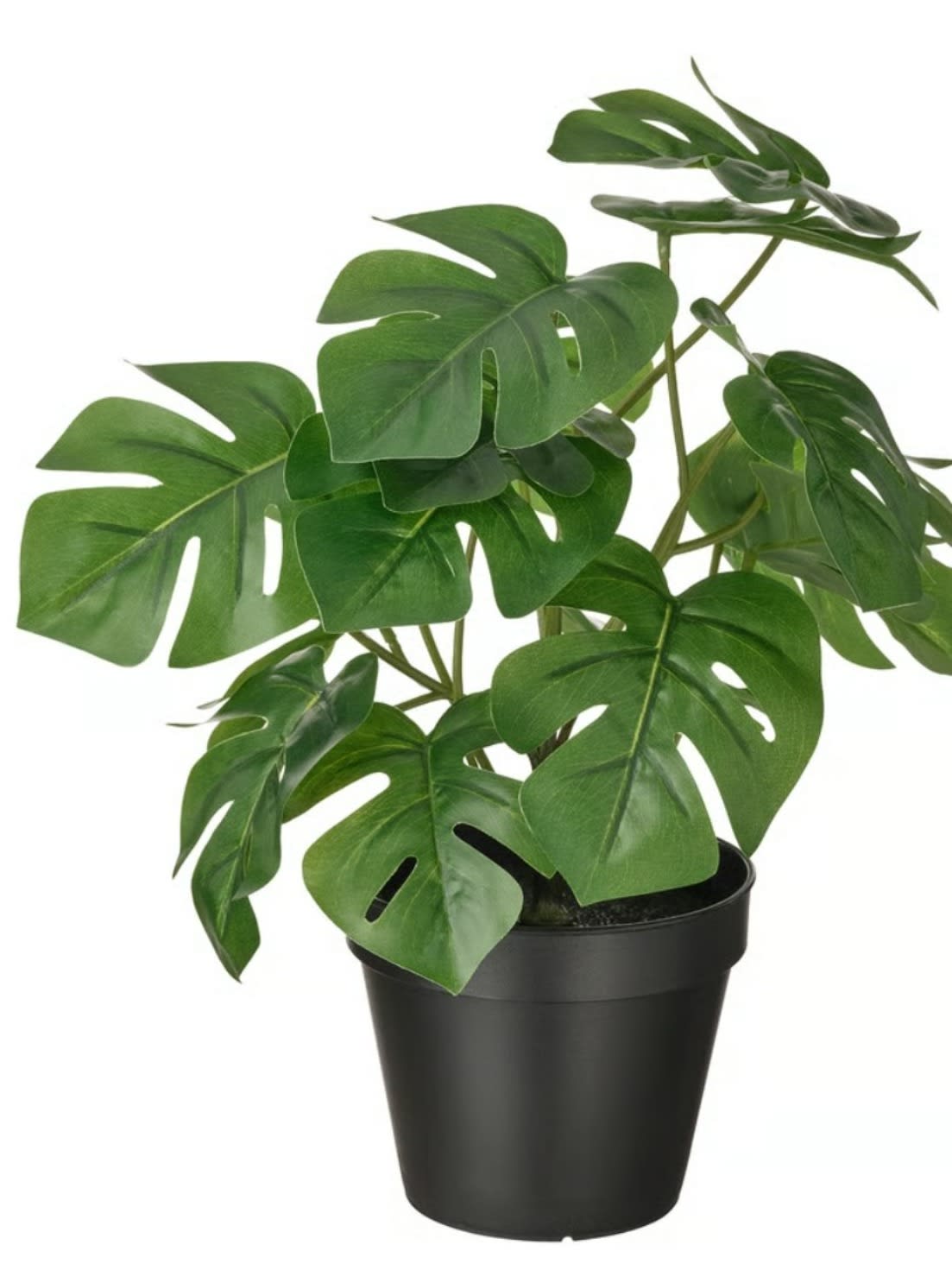 Artificial plant - Other Home Decor in Wakerley QLD | Gumtree Australia