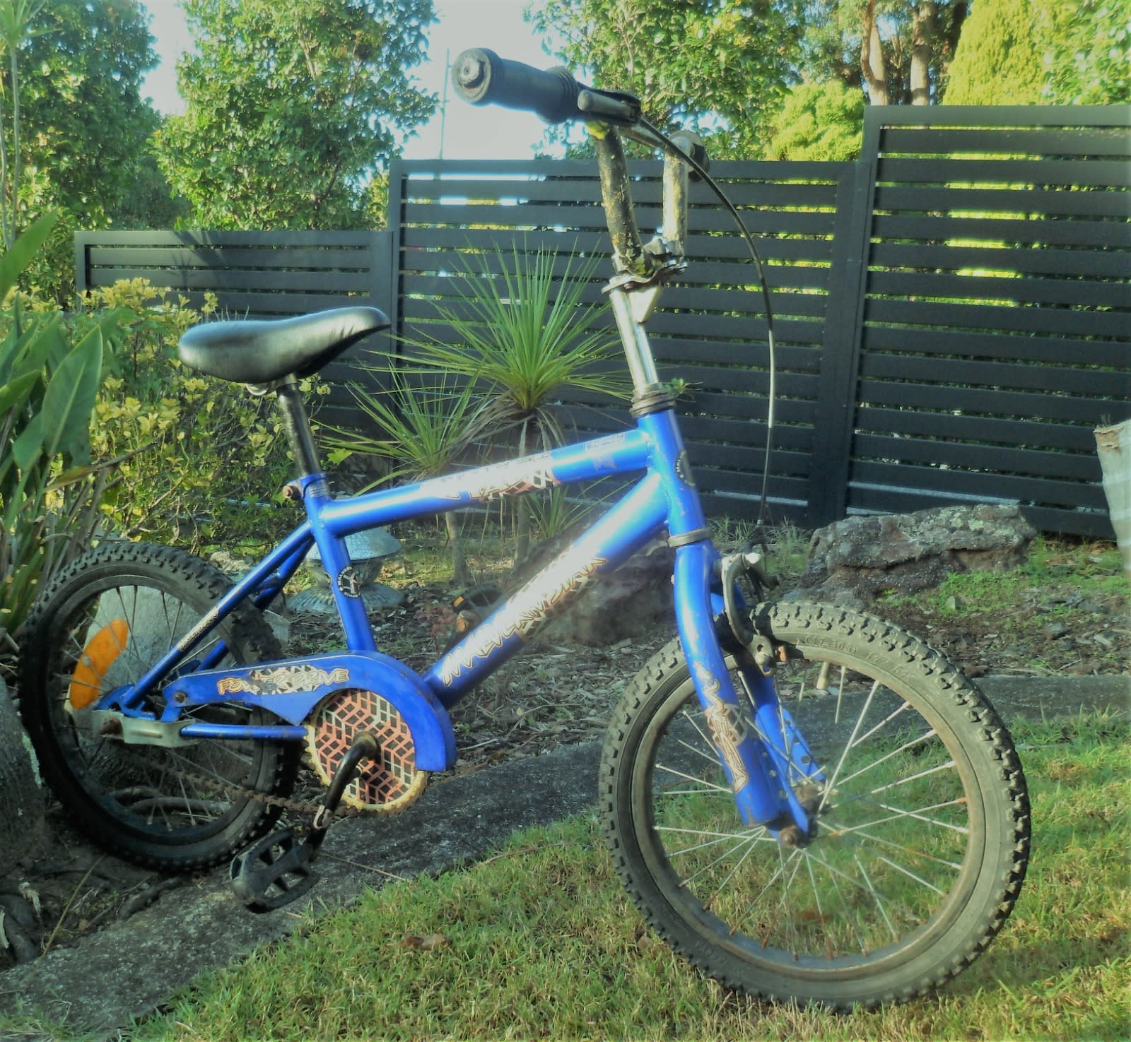 Bmx Rallye Pro Maxx Bike Mountain Bike Rallye Bike 16 The Best