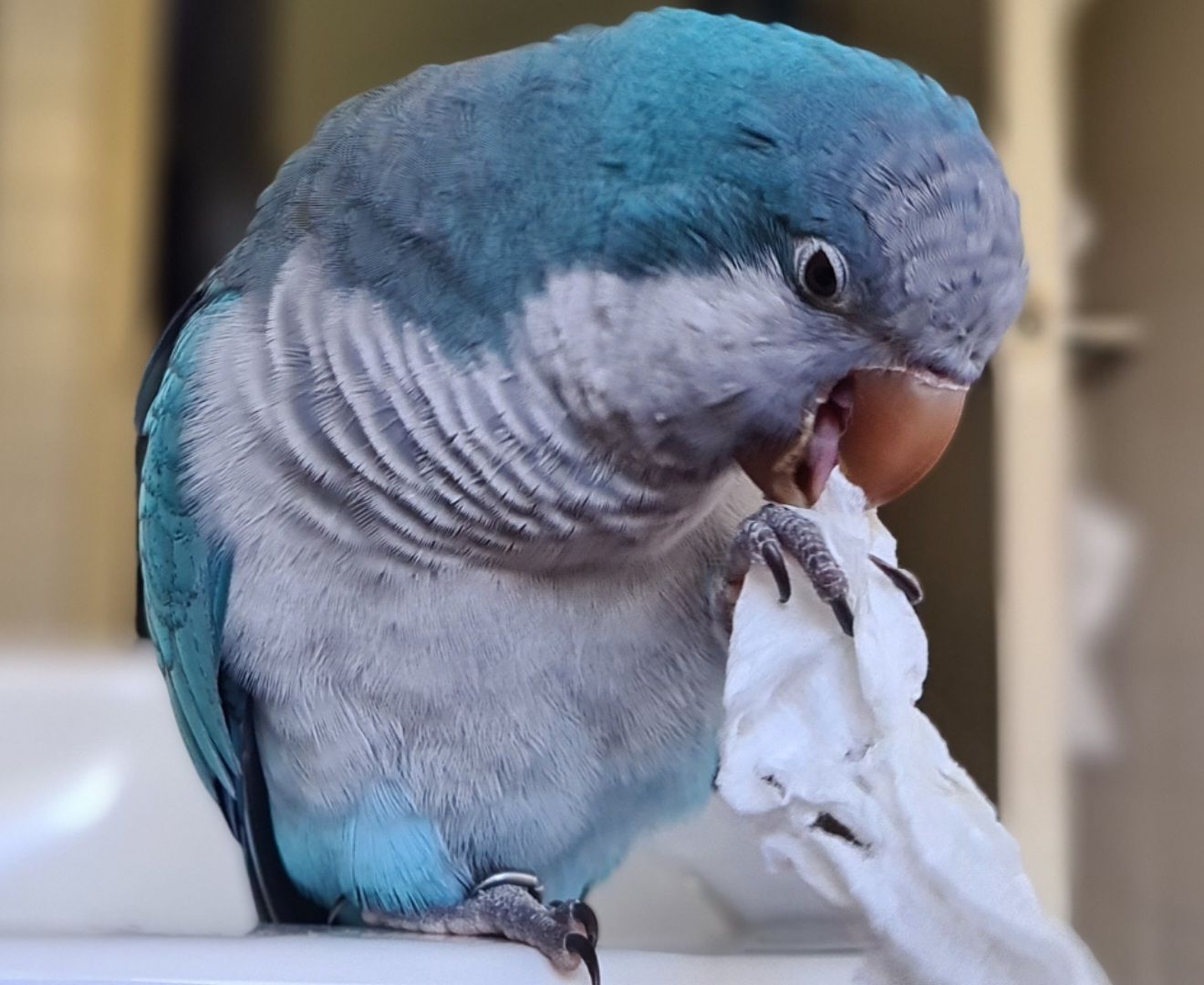 b0973f18-d9e8-4f11-9634-