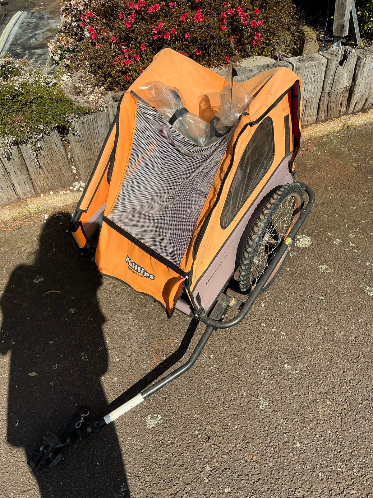 Bike Rentals Alley Cat Shadow Trailer Bike Child Bike Phillips