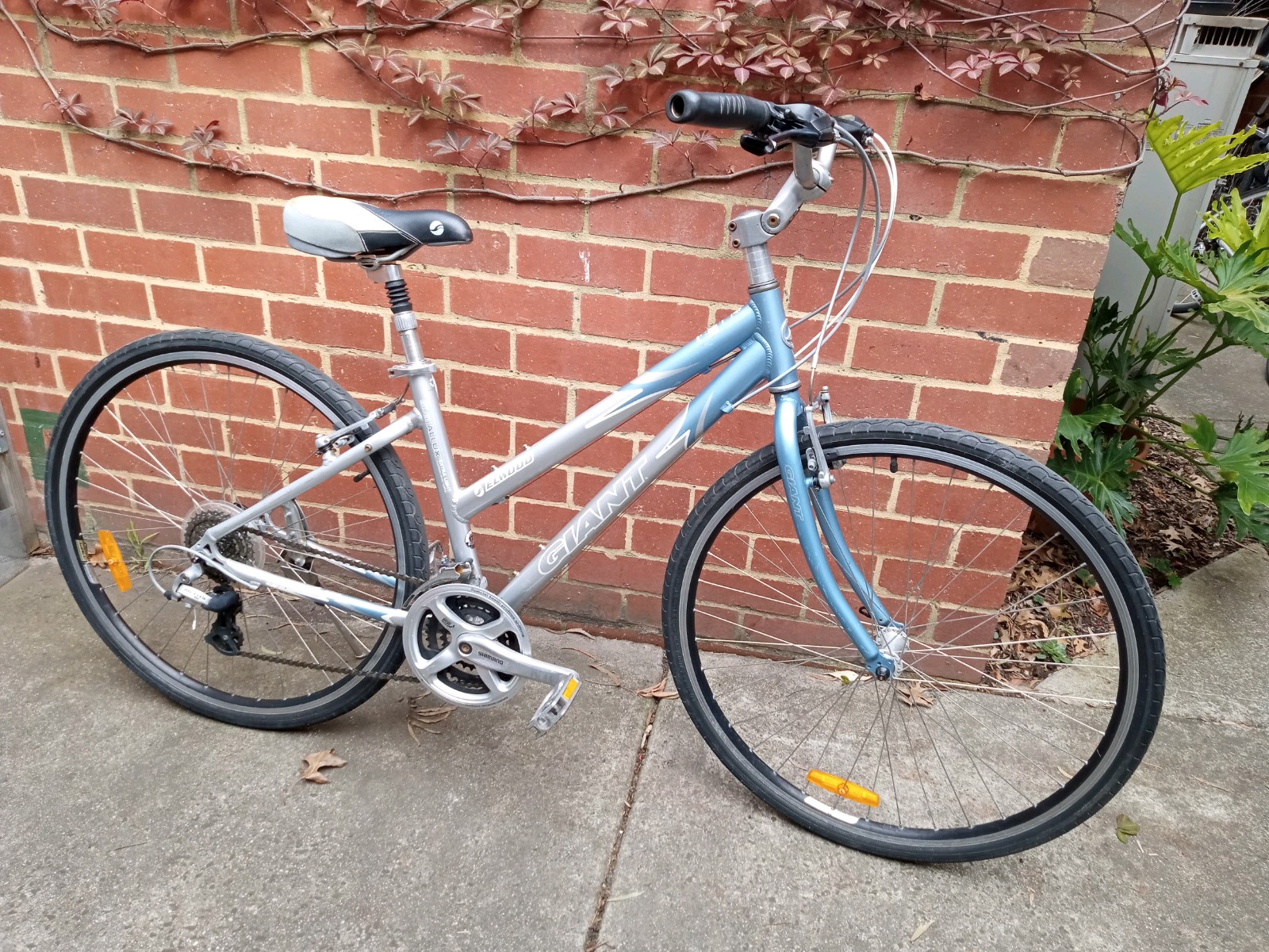 Ladies Bike Elwood Cycling Clothing Giant Elwood Womens Bike