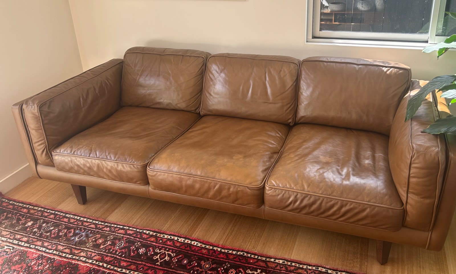 Chaise Lounge Leather Lounge For Sale Gumtree Everly Nick Scali
