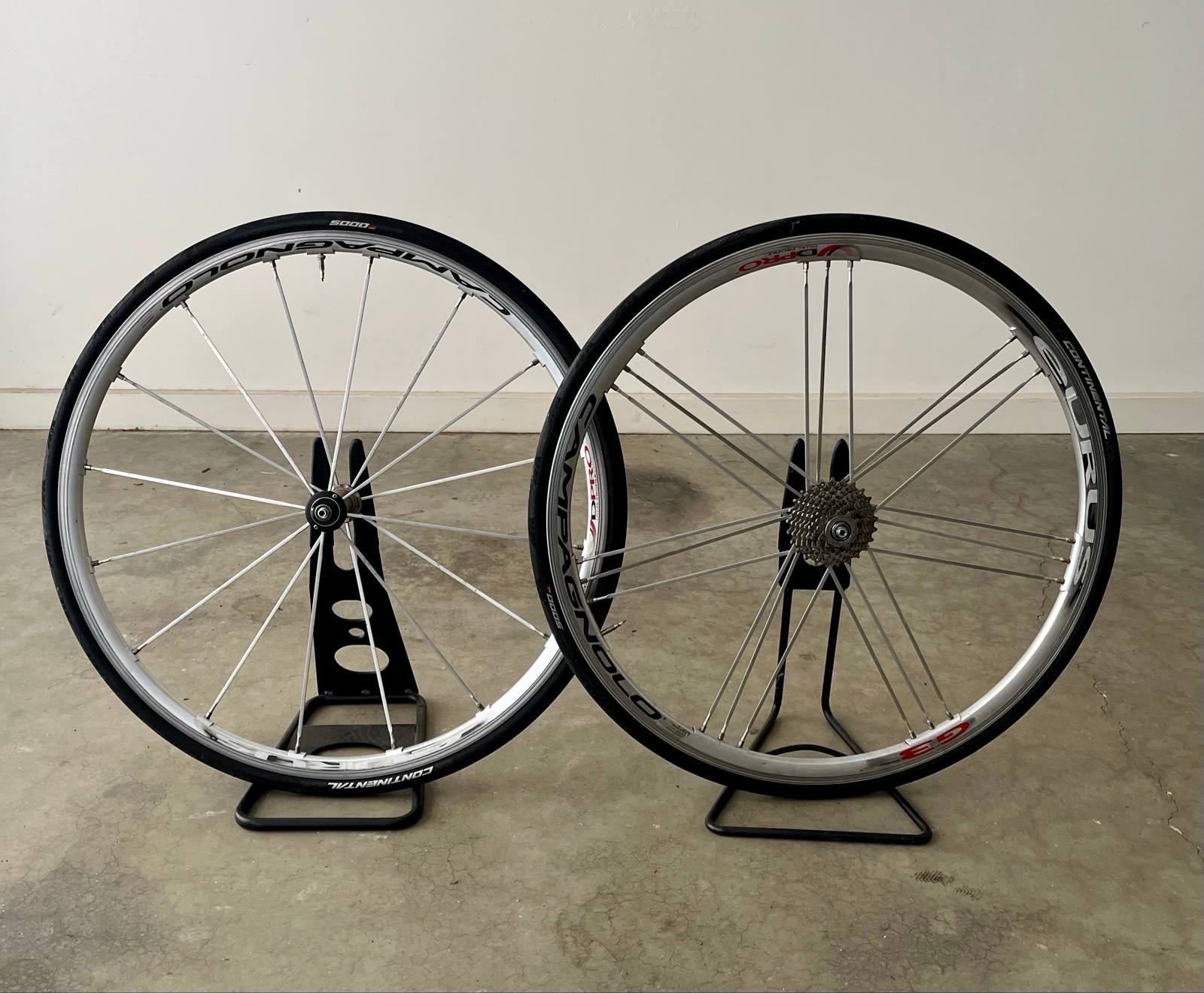 Eurus Wheels Campagnolo Eurus G3 Bicycle Campagnolo Eurus Clincher