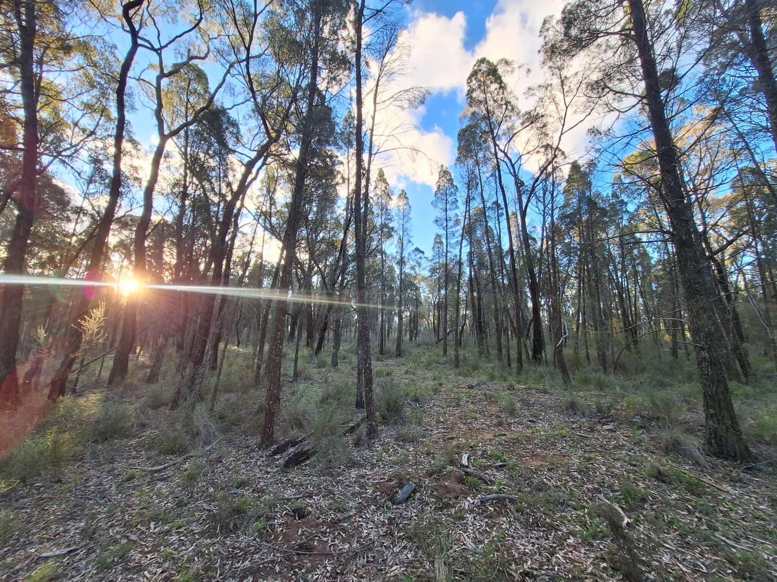 Bushland Retreat 1025 Castlereagh Highway