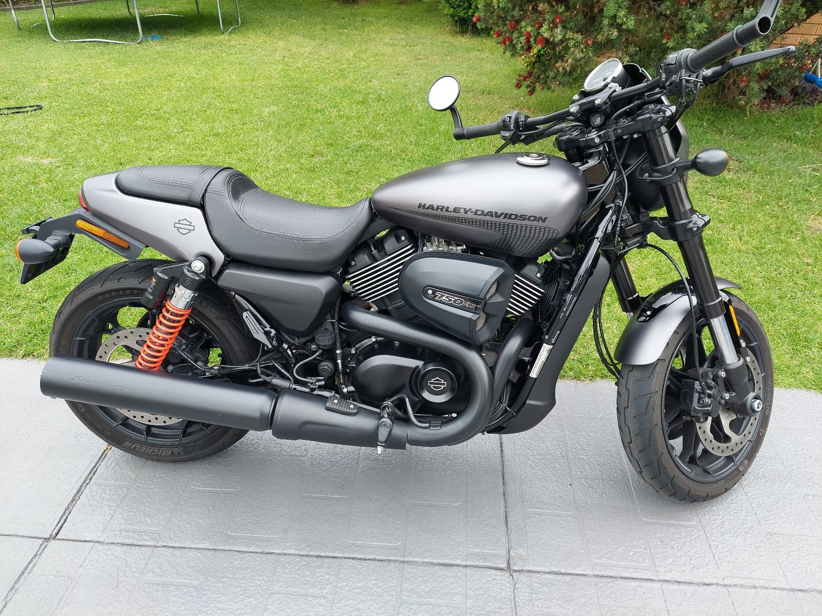 Street 750 Harley For Sale Gumtree Olx Bike Harley Davidson Outlet