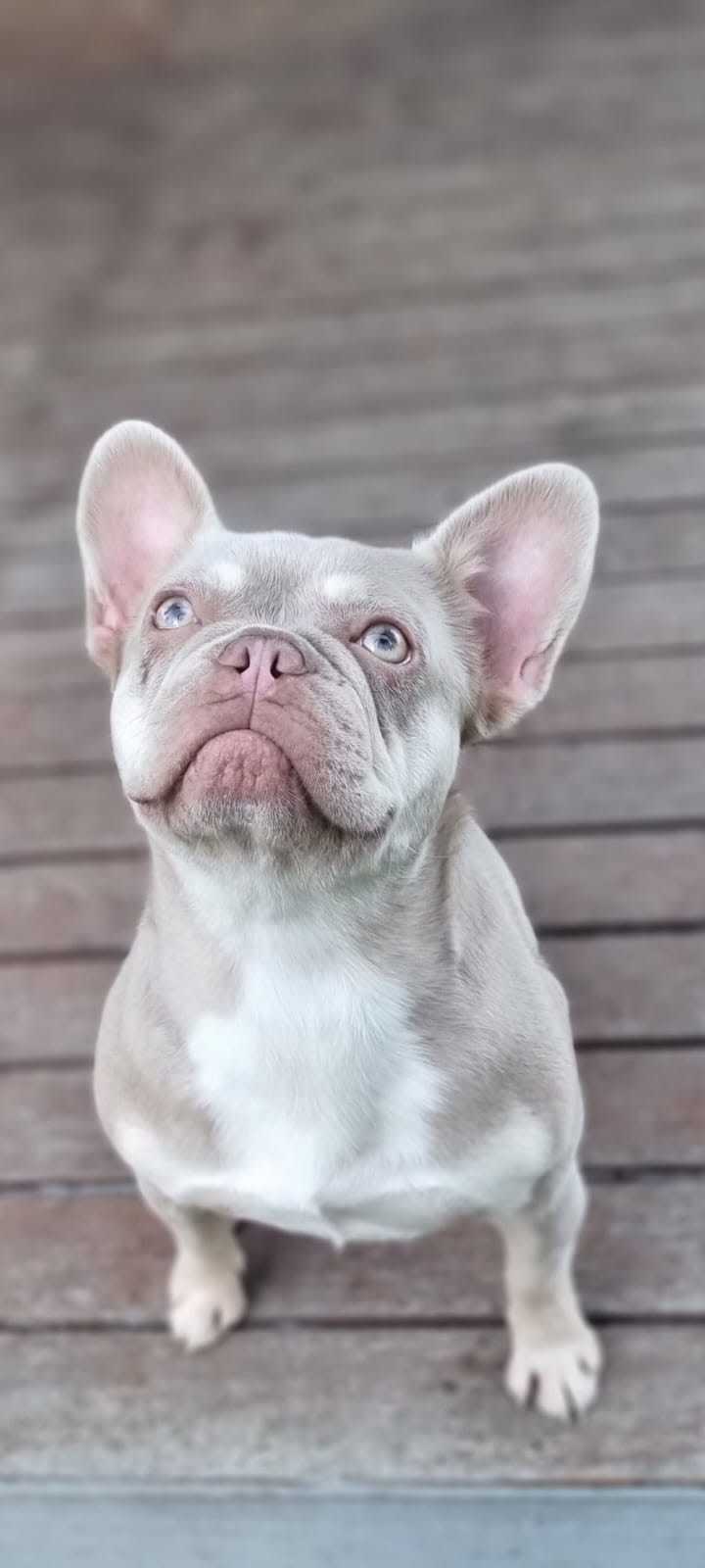 e98f3d72-2b2d-4352-8589-