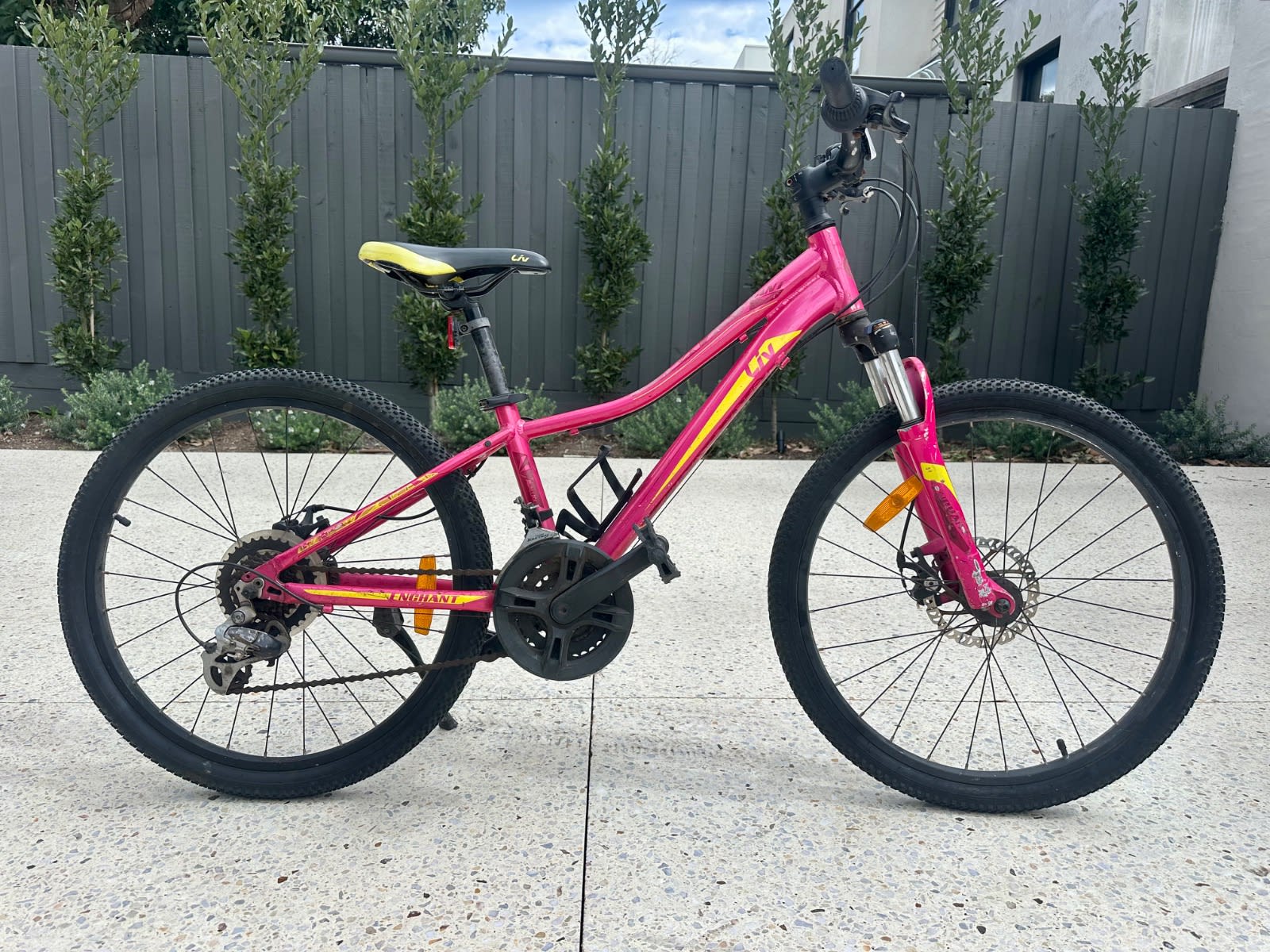 Bicycle Handlebar Gumtree Liv Bike LIV Kids Mountain Bike Special