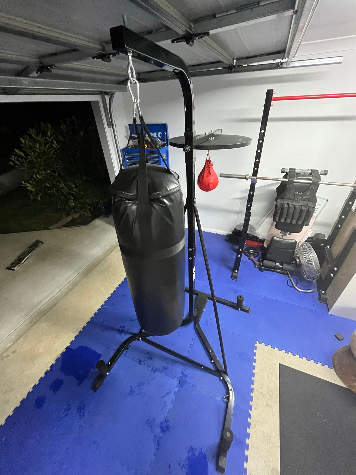 2-in-1 Boxing Training Stand Punching Sandbag Speed Ball Home