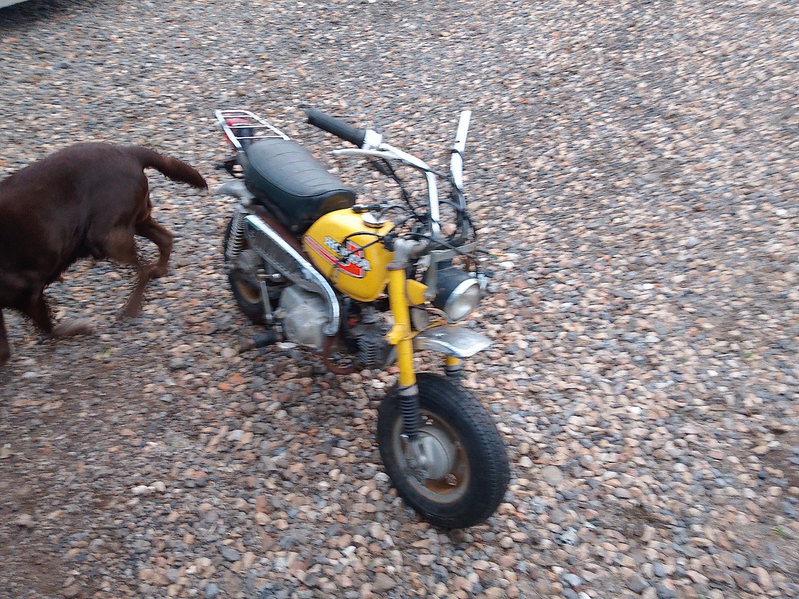 Bike Gumtree Honda Monkey Gumtree Honda Z50 Gumtree